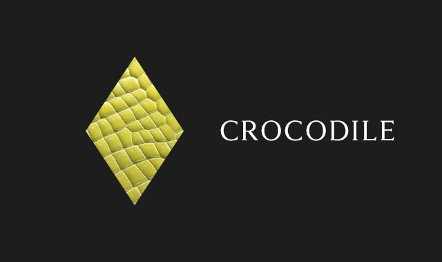 クロコダイル
