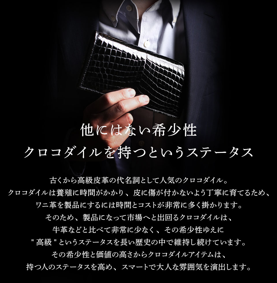 クロコダイル