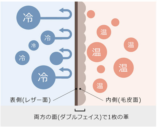 ダブルフェイスって？どんなところが良いの？