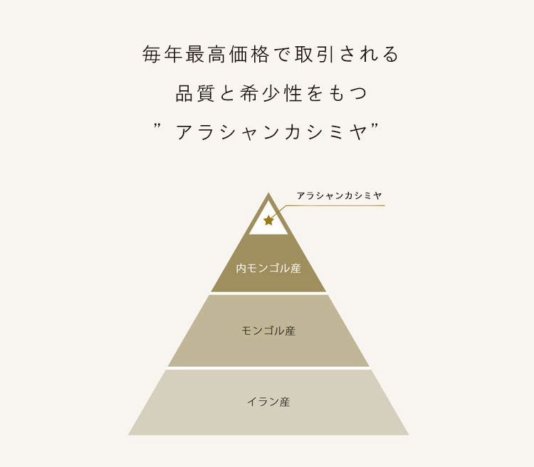 アラシャンカシミヤ