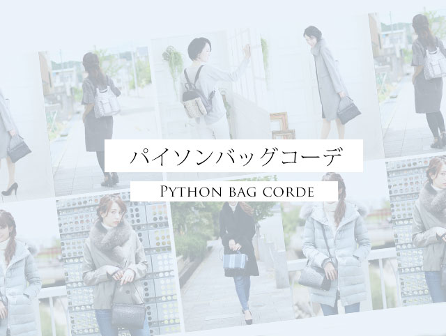 パイソン柄 バッグ コーデ