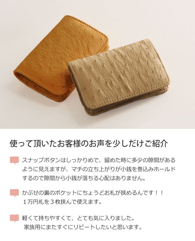 オーストリッチ レディース BOX型 コインケース 小銭入れ カーキ