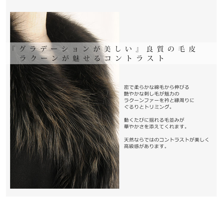 ラクーンファー