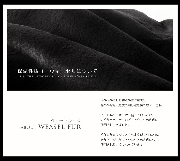 ウィーゼル とは