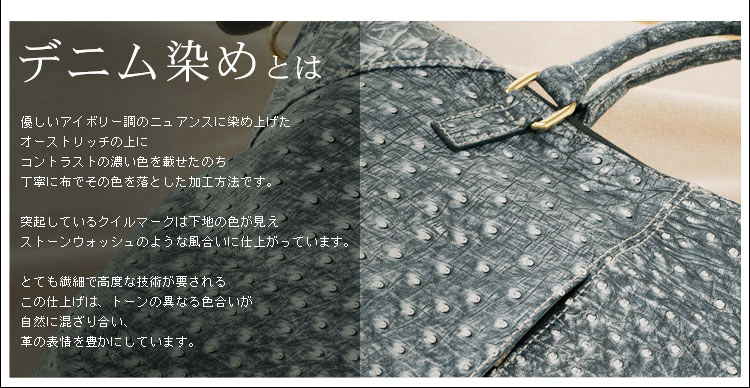 オーストリッチ ハンドバッグ 2WAY ハンドバッグ