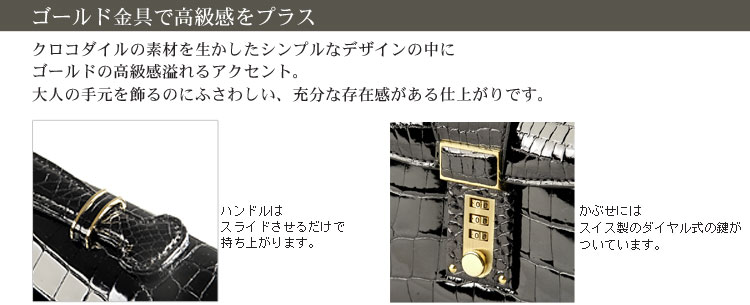 クロコダイル シャイニング メンズバッグ