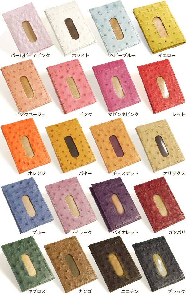 オーストリッチパスケース