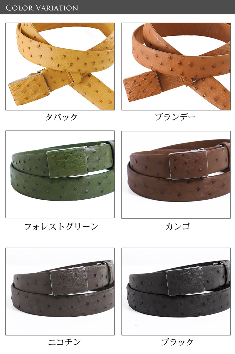 オーストリッチ バックル ベルト 本革 メンズ