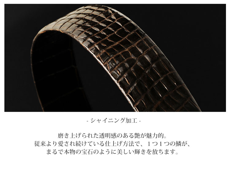クロコダイル 本無双 メンズ ベルト