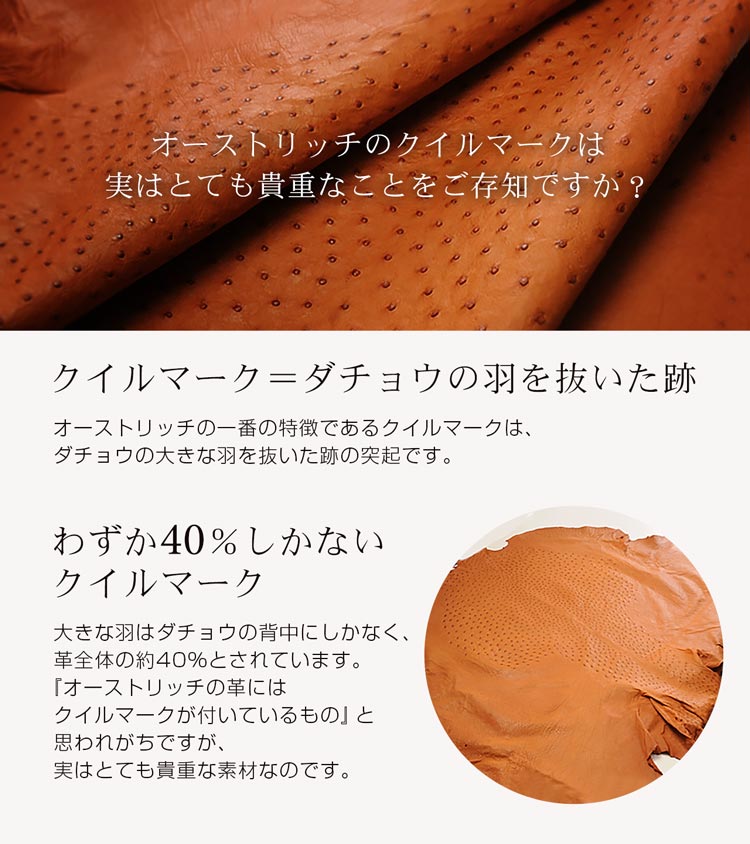 オーストリッチとは