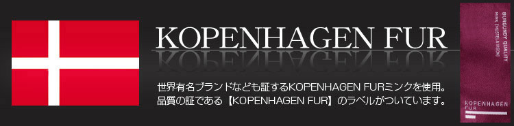コペンハーゲン