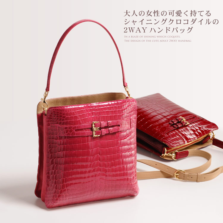 シャイニング クロコダイル