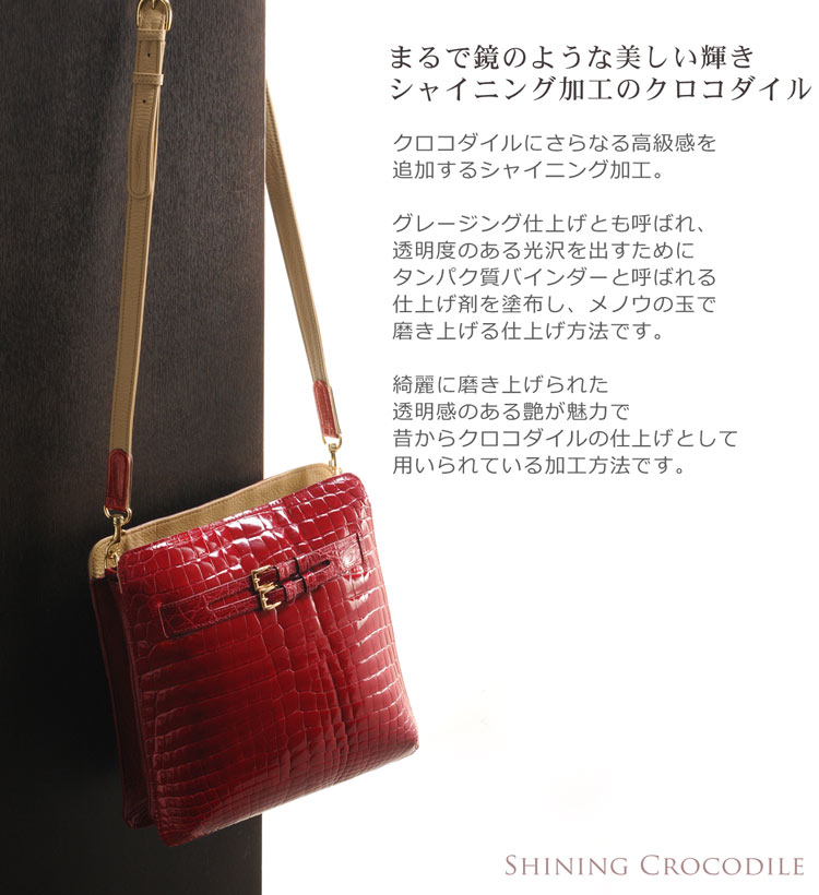 クロコダイル ハンドバッグ  シャイニング