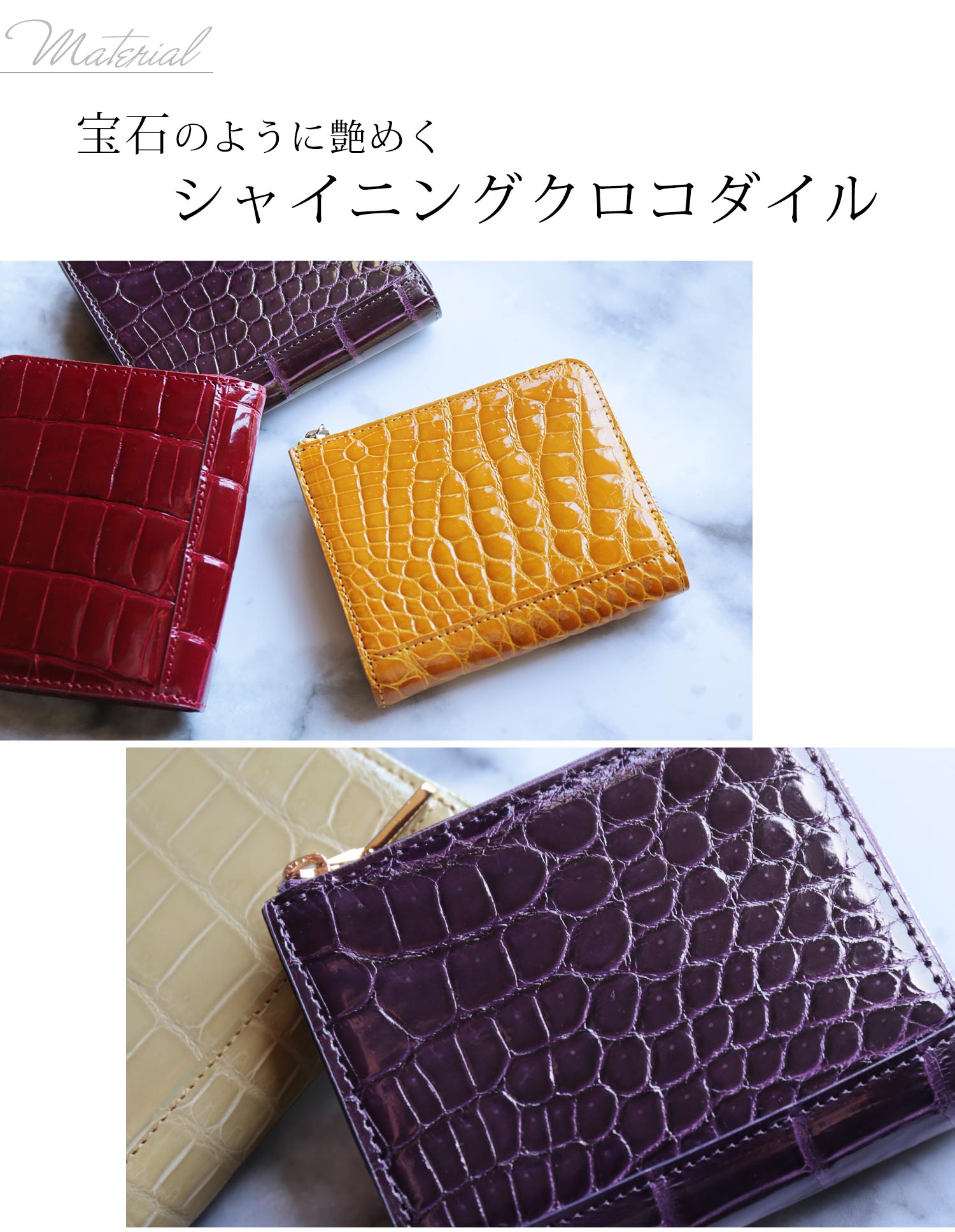 ミニ財布 コンパクト クロコダイル