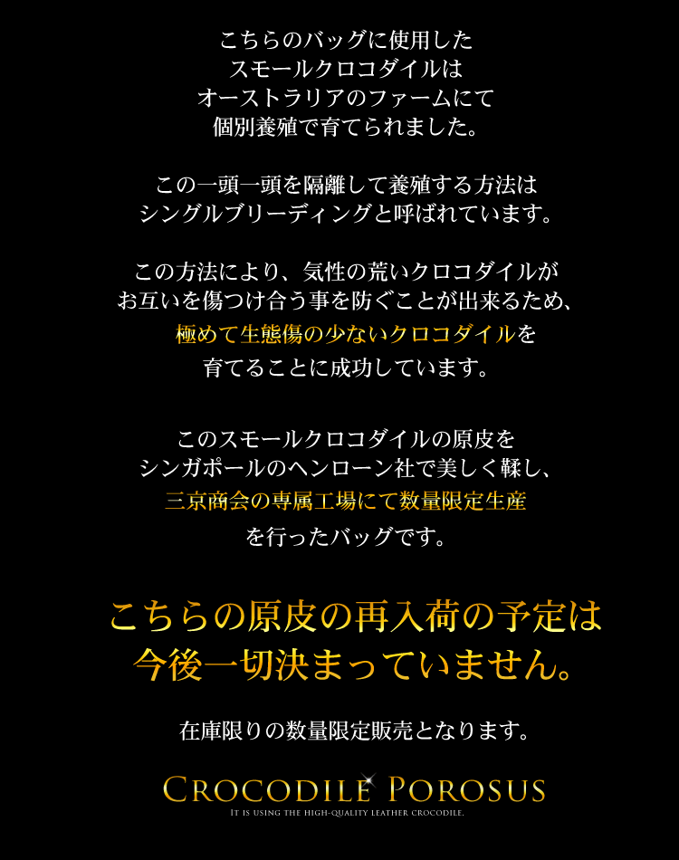 数量限定　シングルブリーディング　クロコダイル