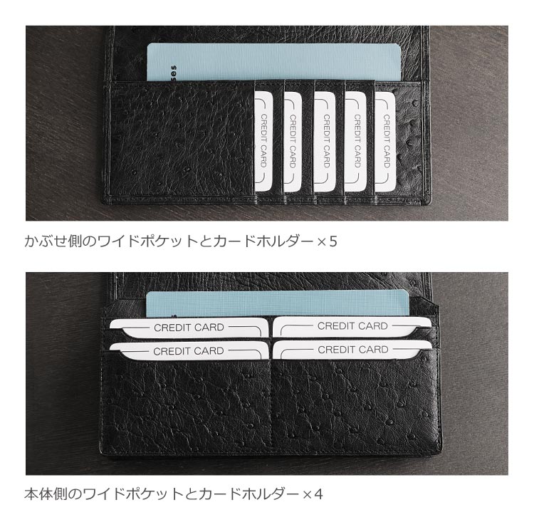 オーストリッチ  カード入れ