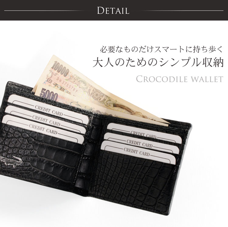 両カード　小銭入れなし　紙幣入れ