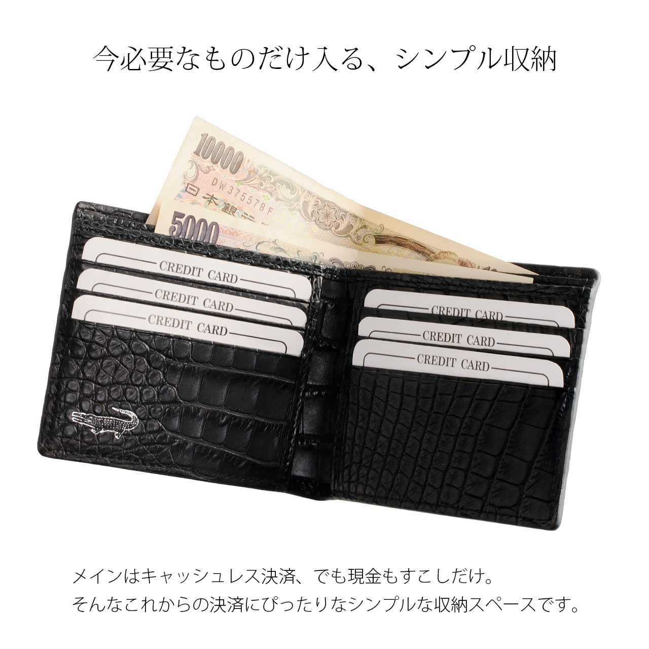 両カード　小銭入れなし　紙幣入れ