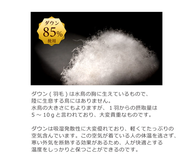 レディース ジャケット ブルーフォックス