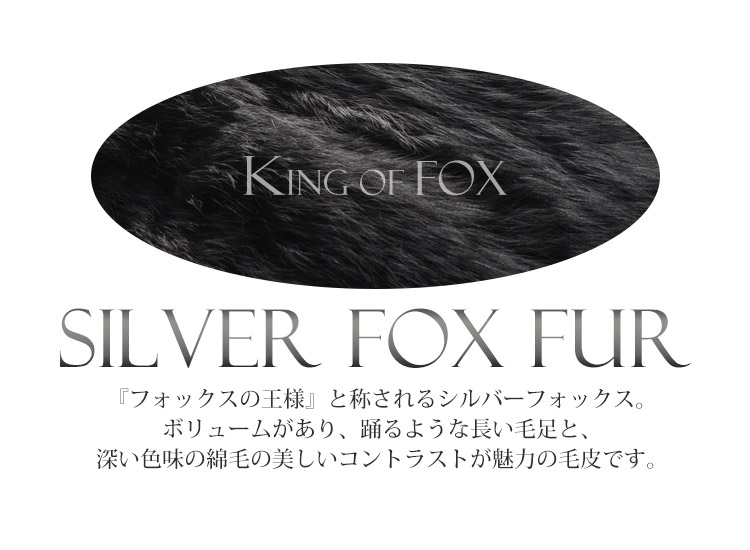 レディース ジャケット ブルーフォックス