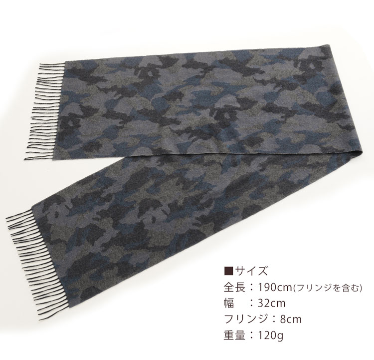 サイズ
