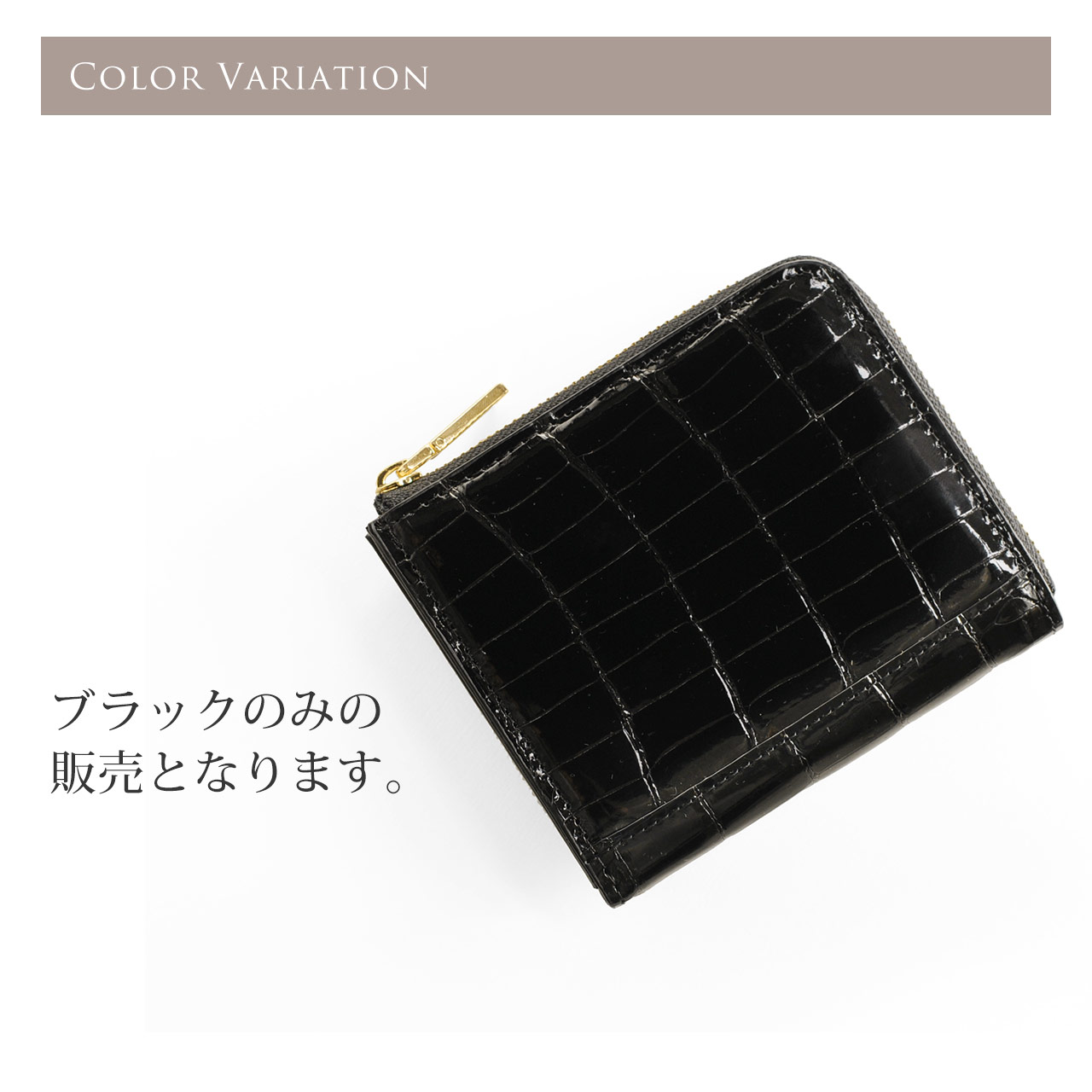 カラーバリエーション クロコダイル レディース 財布