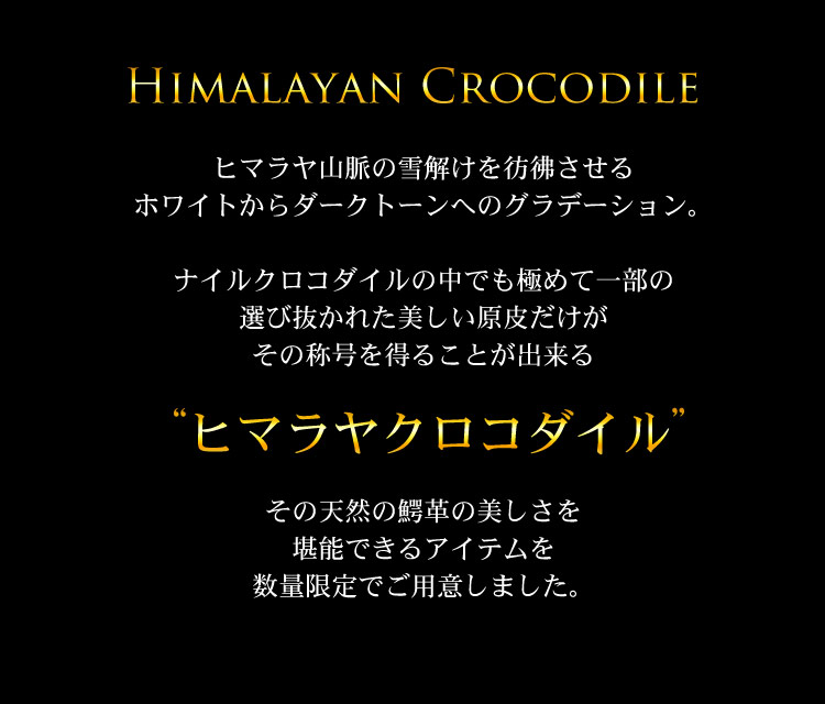 ヒマラヤ クロコダイル