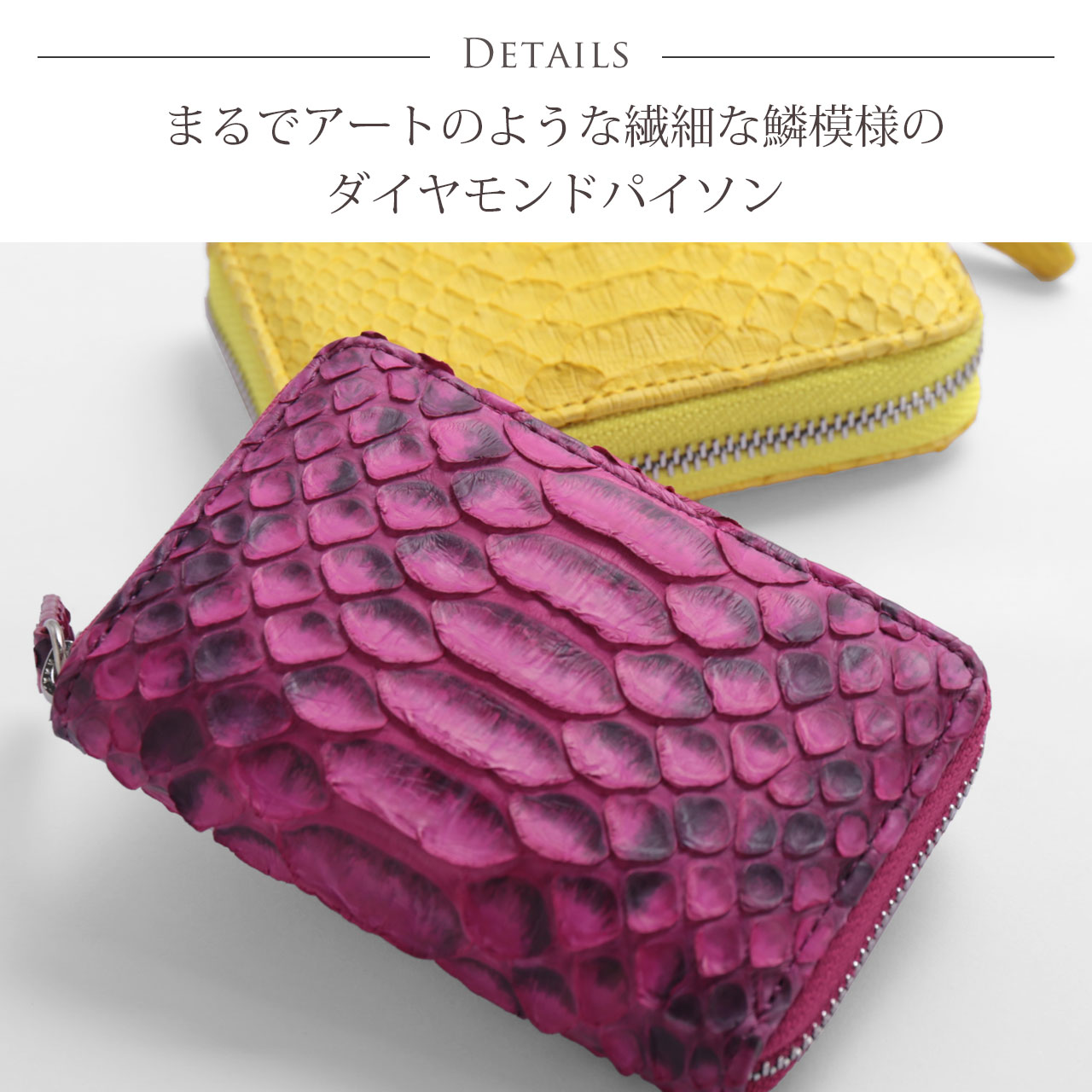 ダイヤモンドパイソンとは