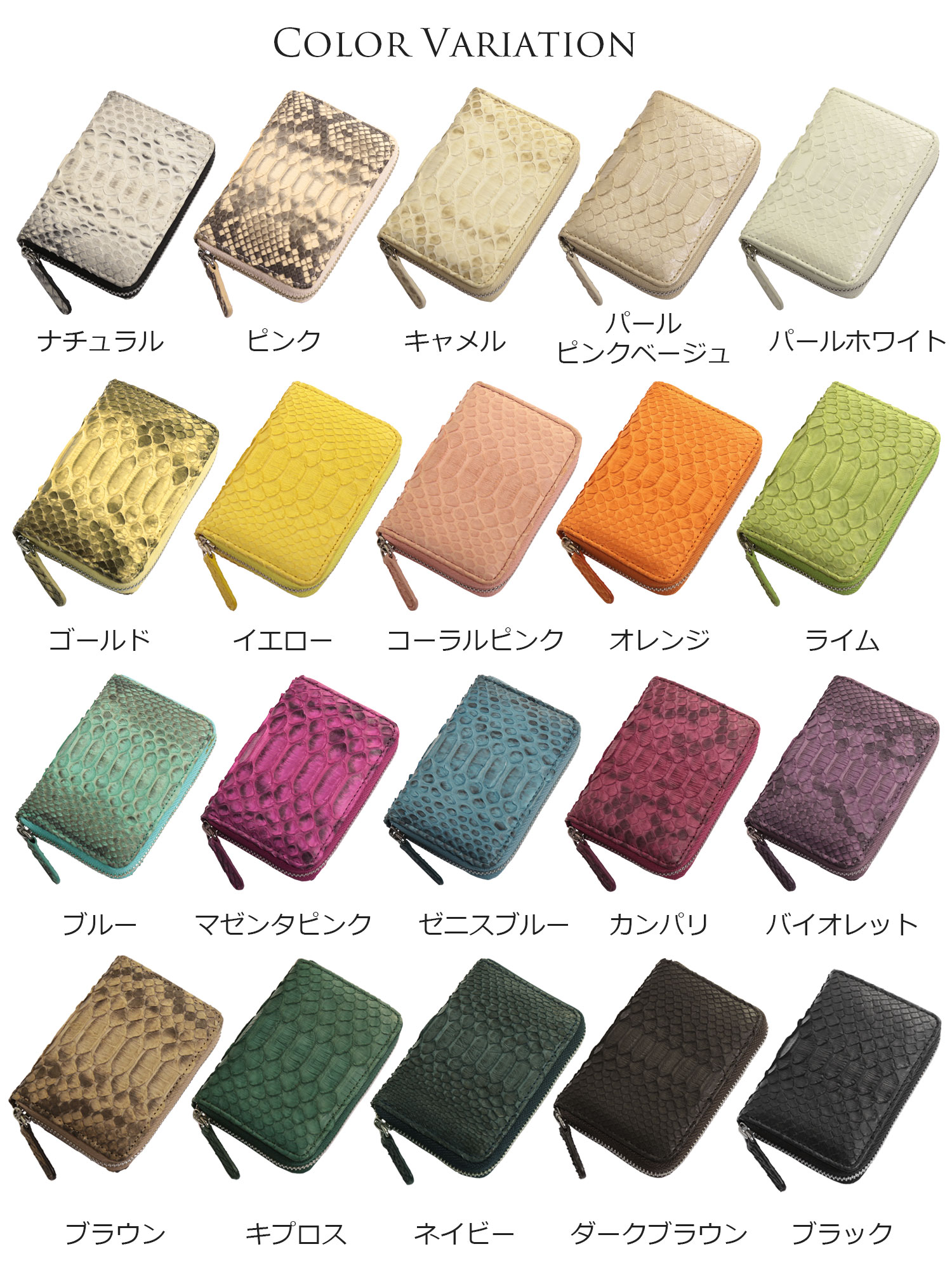 パイソン ミニ財布 カラバリ