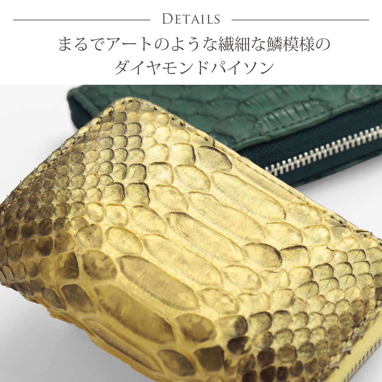 ダイヤモンドパイソンとは