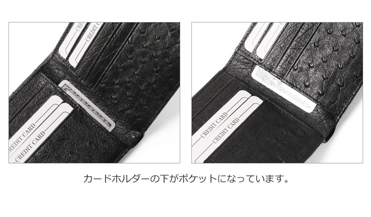 オーストリッチ フルポイント 折り財布 無双 レディース