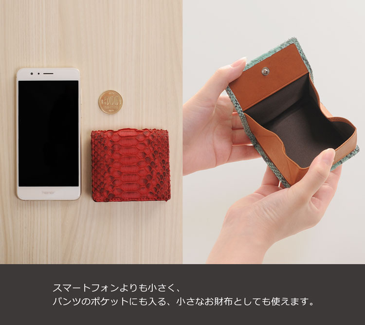 レディース ダイヤモンドパイソン コインケース