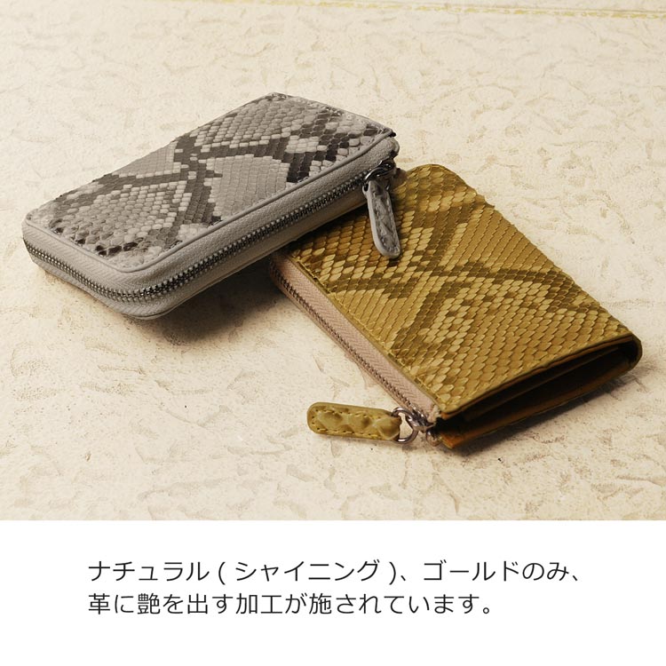 パイソン コインケース 金運 ゴールド
