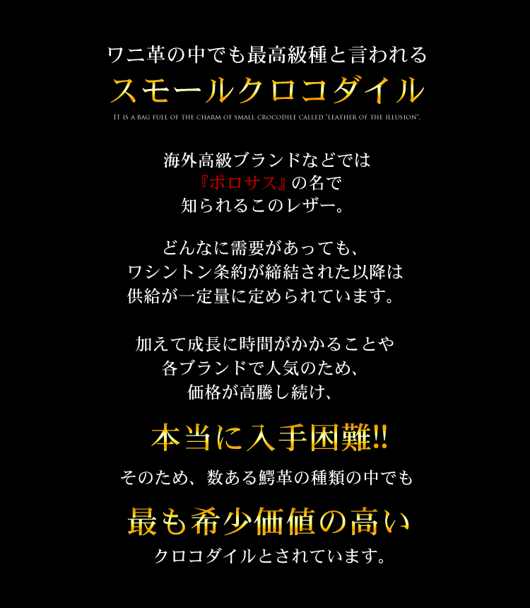 スモール クロコダイル トートバッグ メンズセンター取り ポーチ 付き