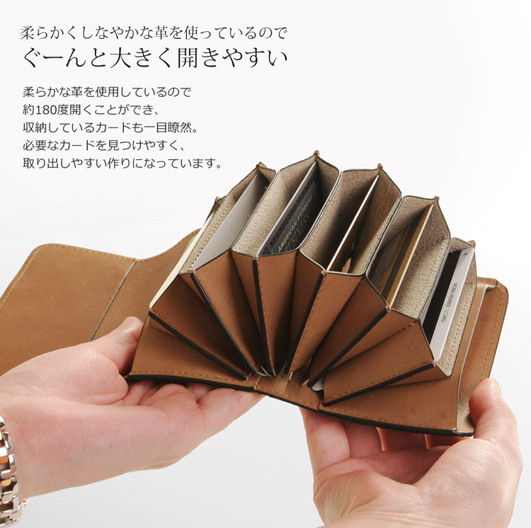 ダイヤモンドパイソン カードケース 本革 大きく開く