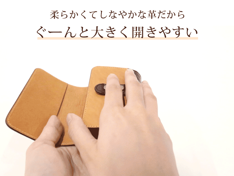 クロコダイル カードケース 蛇腹 大きく開く