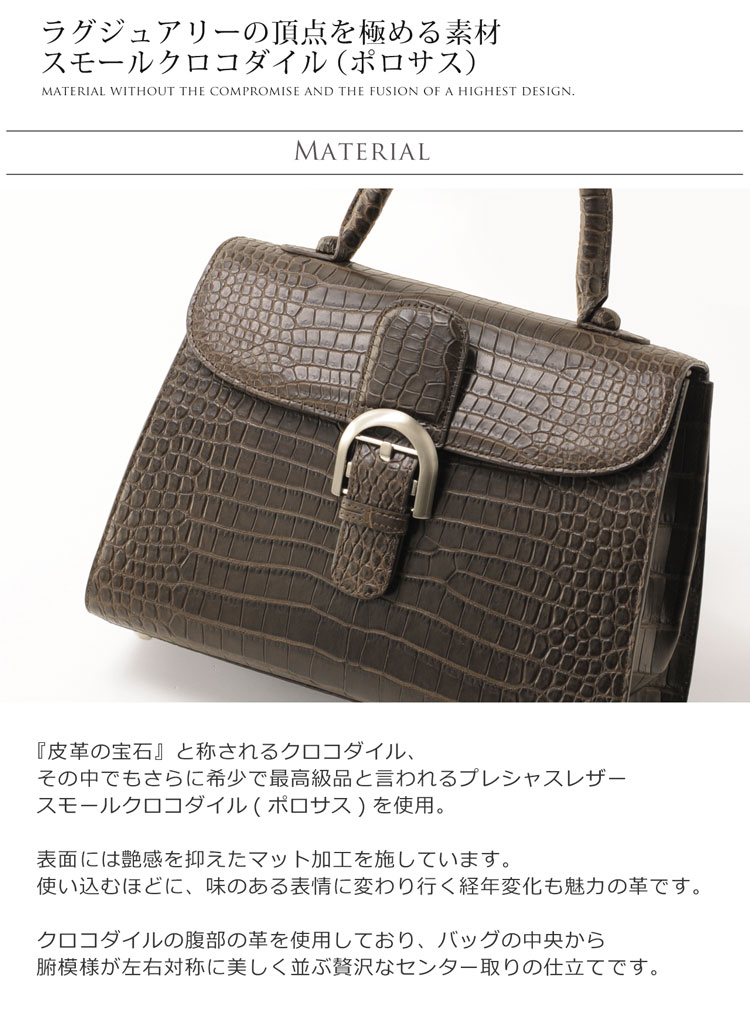 スモール クロコダイル ポロサス ハンドバッグ 2WAY