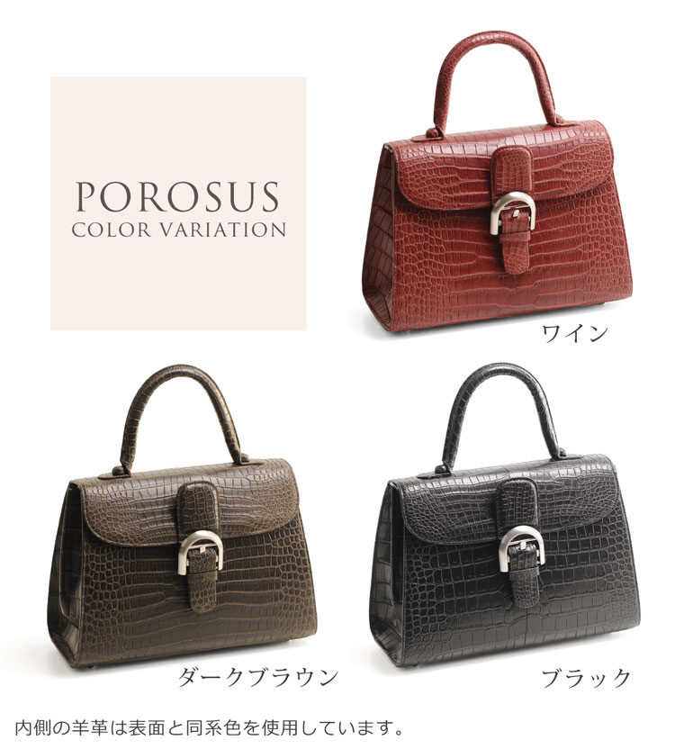 スモール クロコダイル ポロサス ハンドバッグ 2WAY