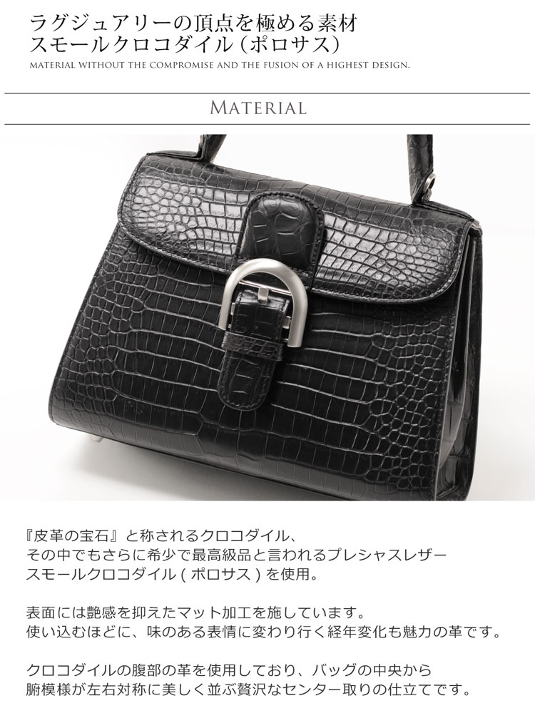 スモール クロコダイル ポロサス ハンドバッグ 2WAY