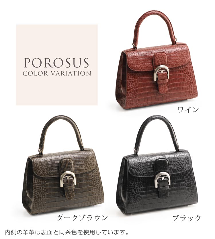 スモール クロコダイル ポロサス ハンドバッグ 2WAY