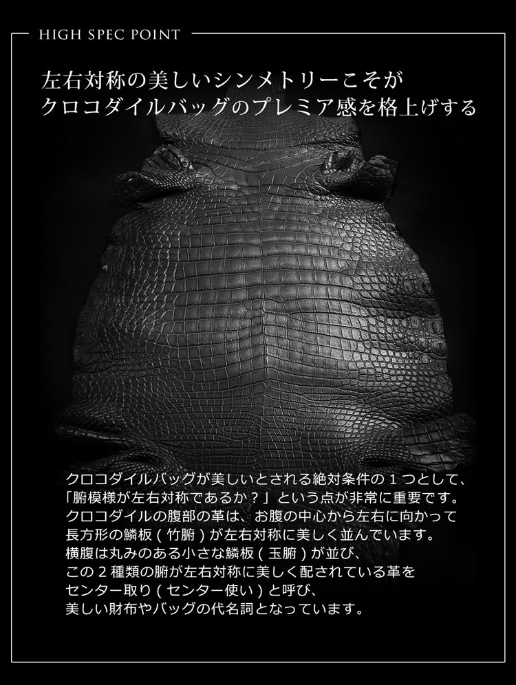 センター取り 鰐革
