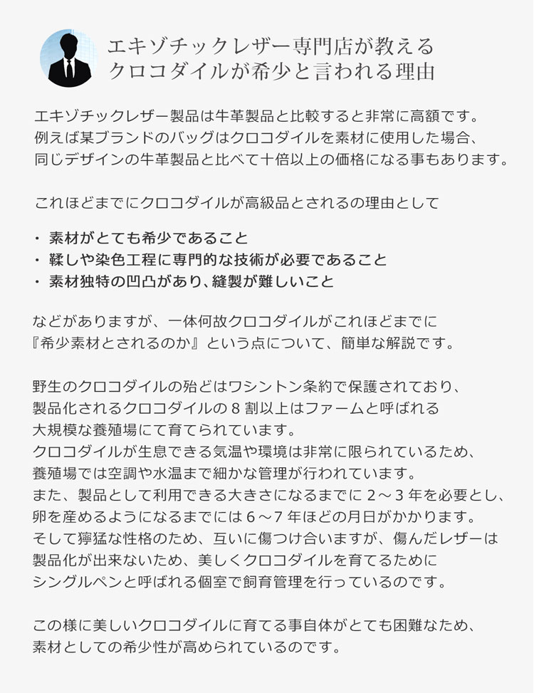 スモールクロコダイル ポロサス 折り財布 メンズ シャイニング 一枚革