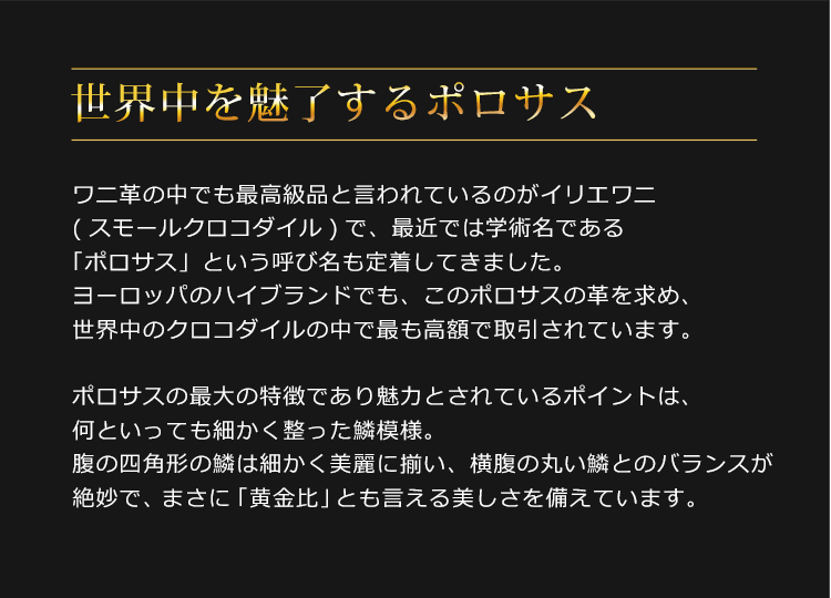 スモール クロコダイル とは