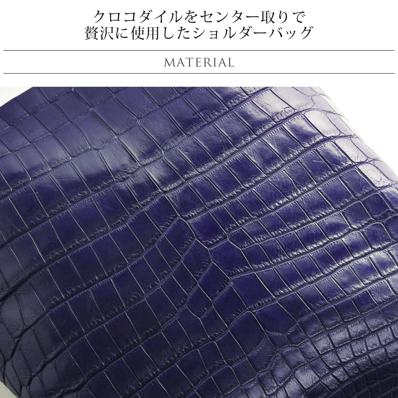 クロコダイルについて