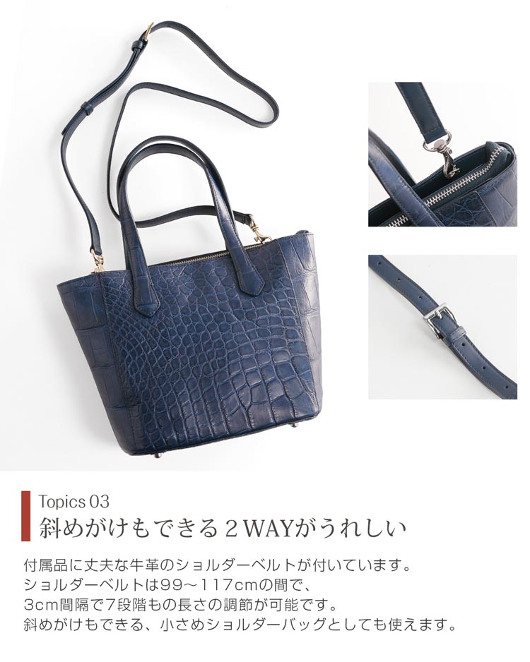 ナイルクロコダイル ハンドバッグ レディース 2WAY