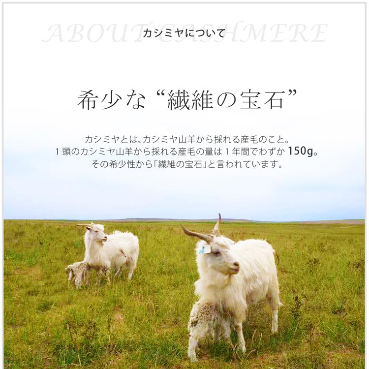 カシミヤ 100％ マフラー 内モンゴル産 メンズ