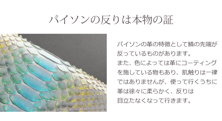 パイソン 鱗 取れそう