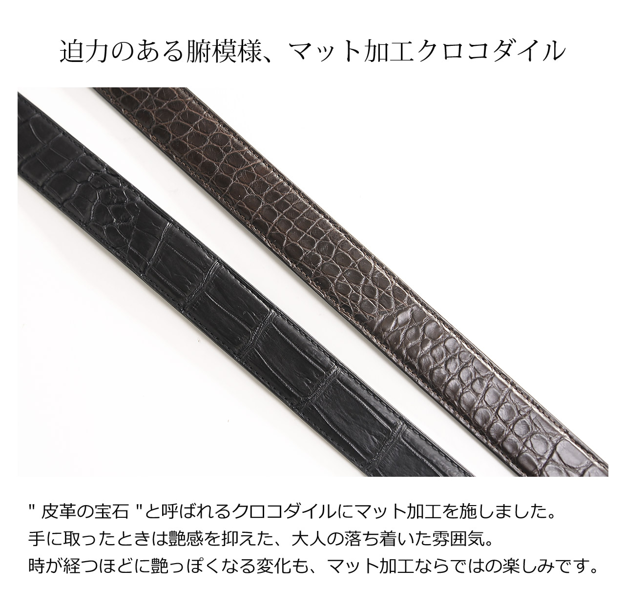 クロコダイル 本革 ベルト