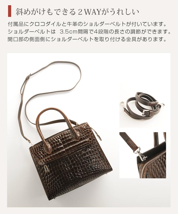 クロコダイル ハンドバッグ センター取り シャイニング ヘンローン