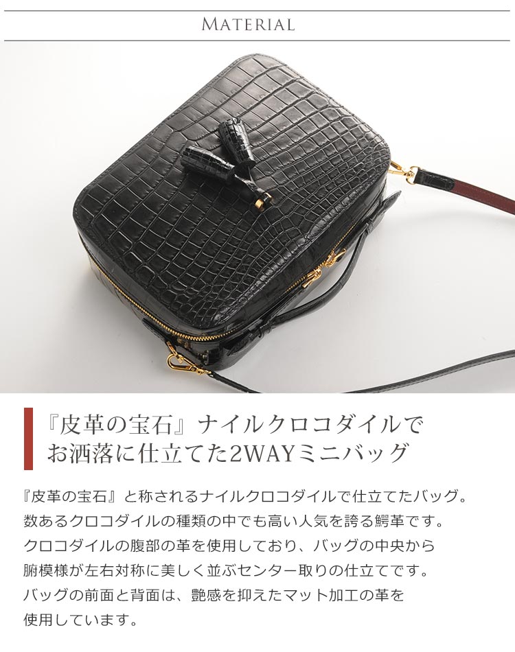 クロコダイル マット ショルダーバッグ ブラック マット ミニバッグ